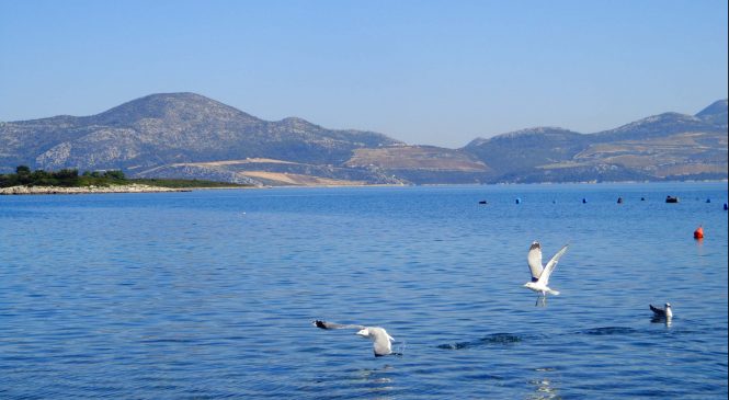 Priopćenje HDS-a vezano na planove o izgradnji termoelektrane na ugljen u Pločama